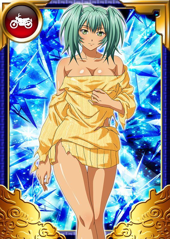 Ikkitousen Cards Coleccyion  Ryofu Housen set 716