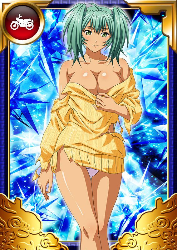 Ikkitousen Cards Coleccyion  Ryofu Housen set 717