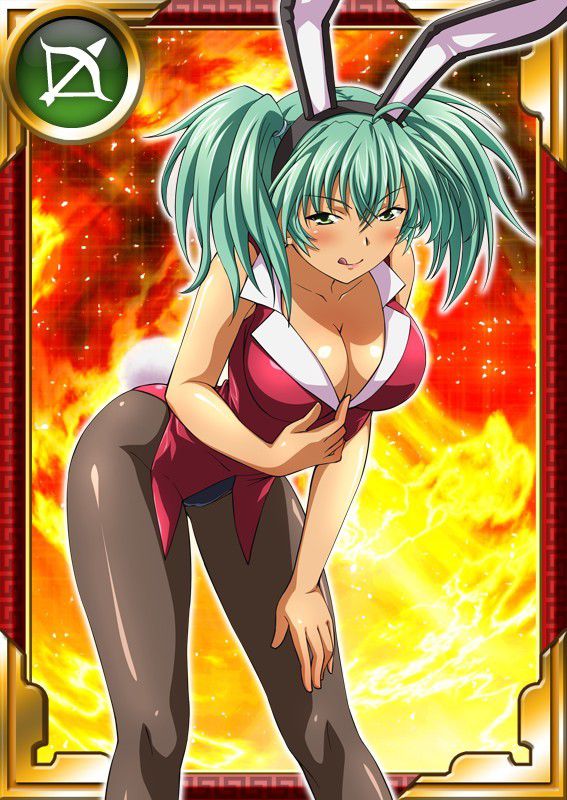 Ikkitousen Cards Coleccyion  Ryofu Housen set 720