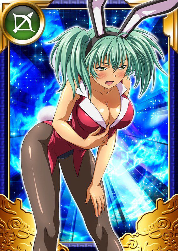 Ikkitousen Cards Coleccyion  Ryofu Housen set 721