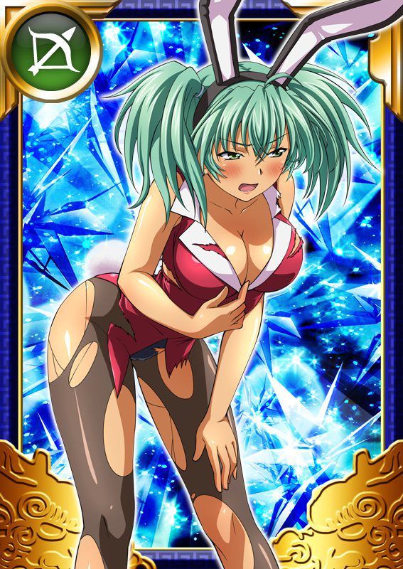 Ikkitousen Cards Coleccyion  Ryofu Housen set 722