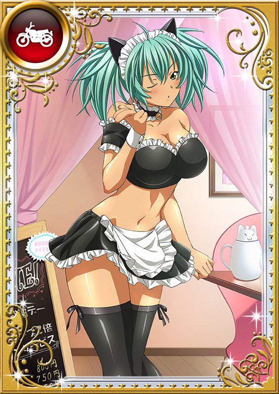 Ikkitousen Cards Coleccyion  Ryofu Housen set 723