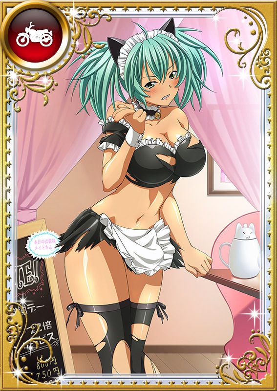 Ikkitousen Cards Coleccyion  Ryofu Housen set 724