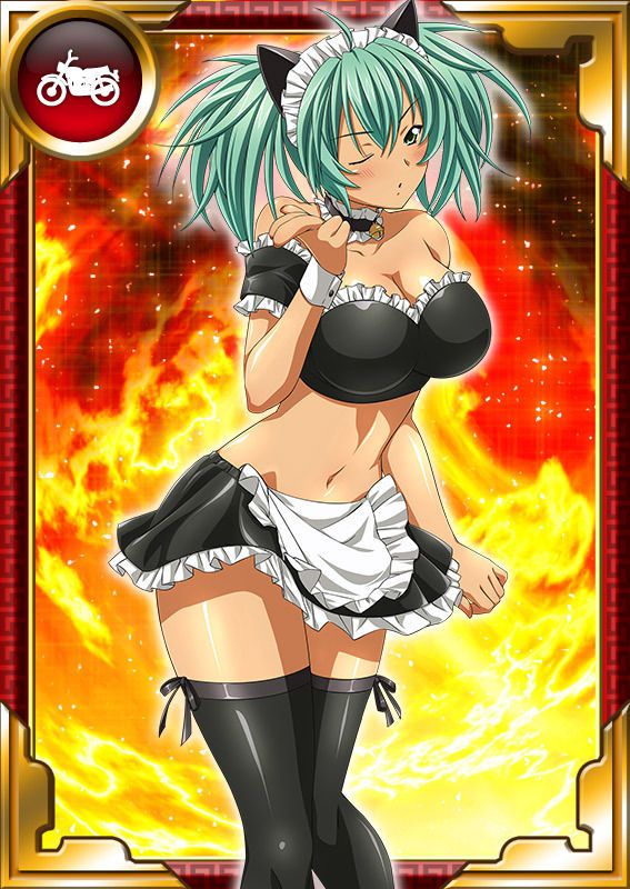 Ikkitousen Cards Coleccyion  Ryofu Housen set 725