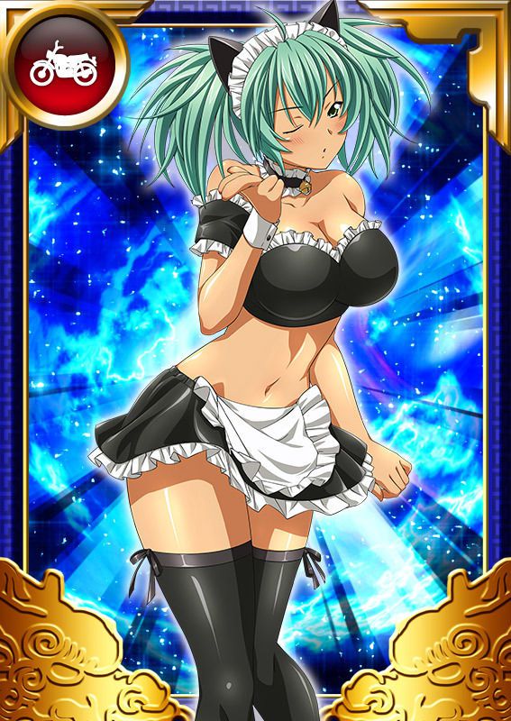 Ikkitousen Cards Coleccyion  Ryofu Housen set 726