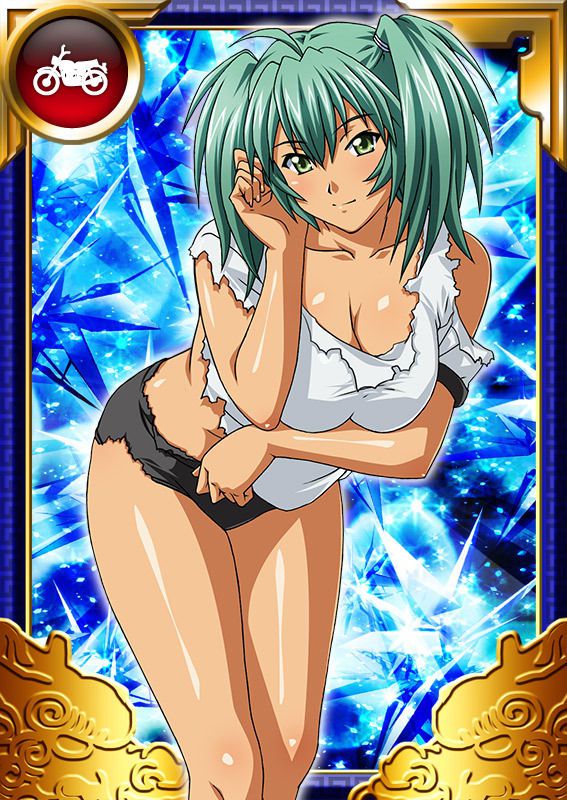 Ikkitousen Cards Coleccyion  Ryofu Housen set 728