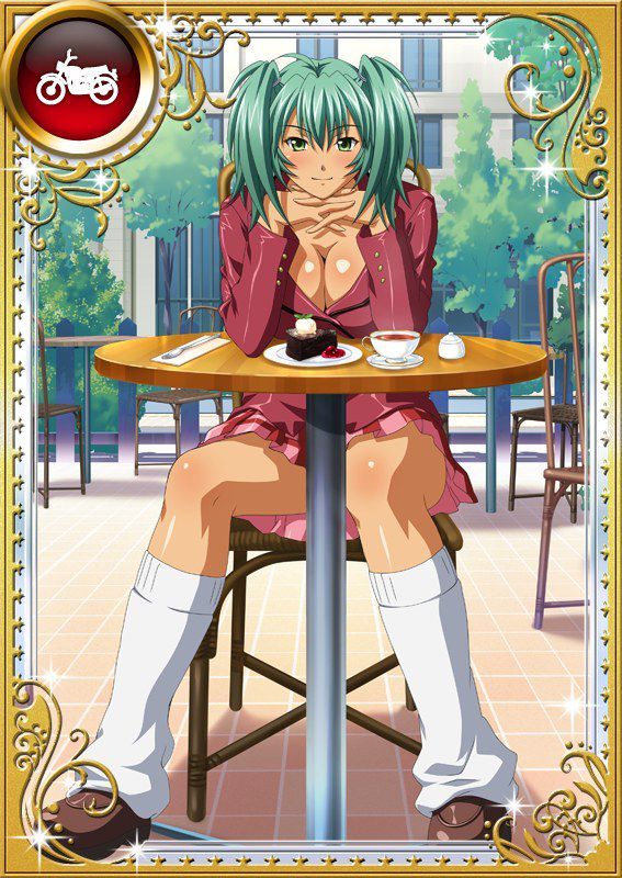 Ikkitousen Cards Coleccyion  Ryofu Housen set 730