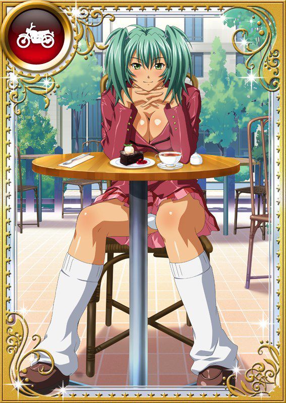 Ikkitousen Cards Coleccyion  Ryofu Housen set 731