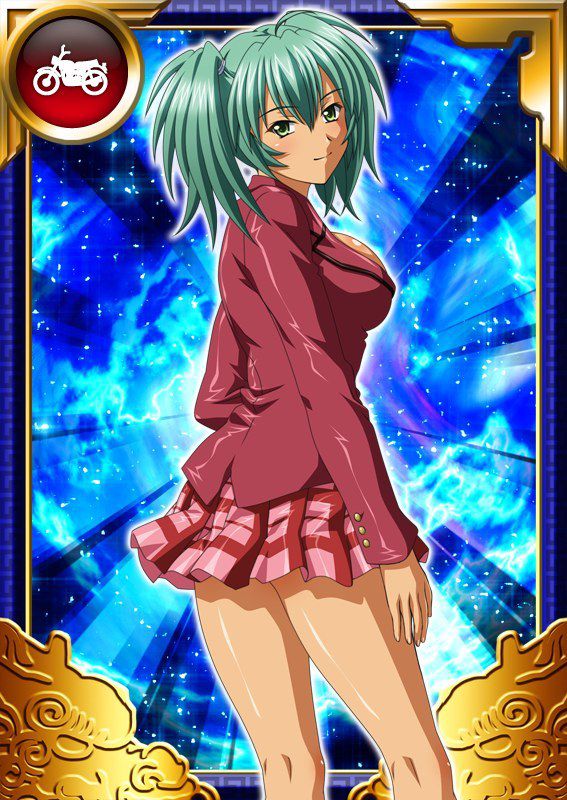 Ikkitousen Cards Coleccyion  Ryofu Housen set 732