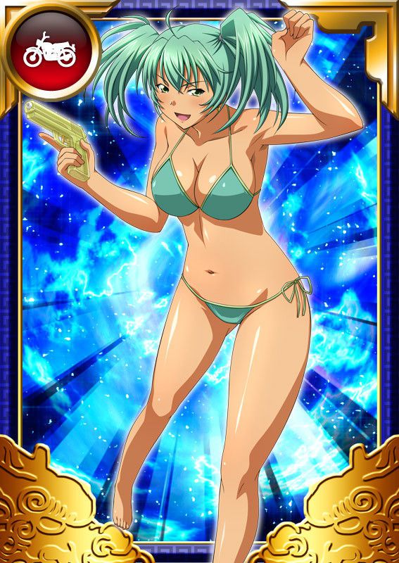 Ikkitousen Cards Coleccyion  Ryofu Housen set 736