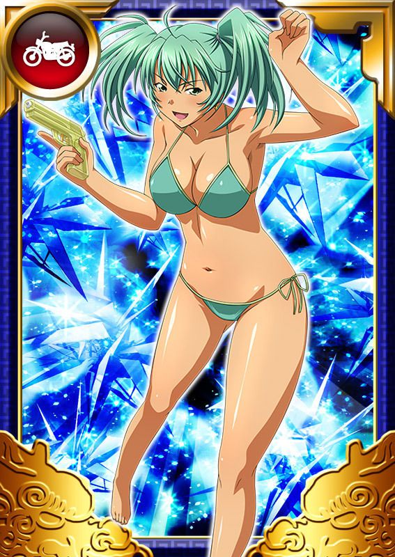 Ikkitousen Cards Coleccyion  Ryofu Housen set 737