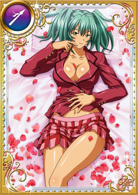 Ikkitousen Cards Coleccyion  Ryofu Housen set 746