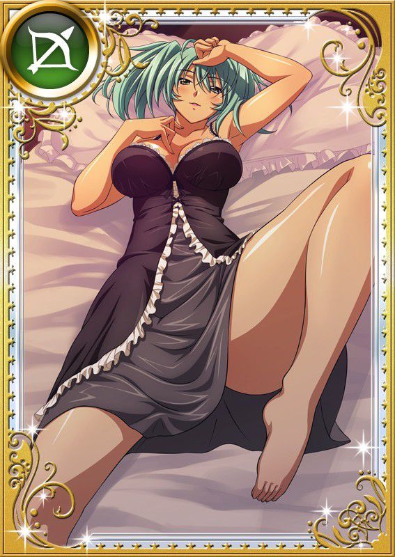 Ikkitousen Cards Coleccyion  Ryofu Housen set 759