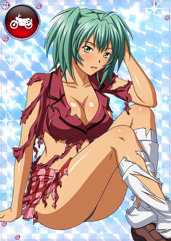 Ikkitousen Cards Coleccyion  Ryofu Housen set 76