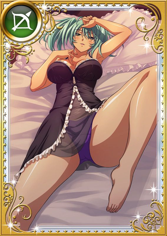 Ikkitousen Cards Coleccyion  Ryofu Housen set 760