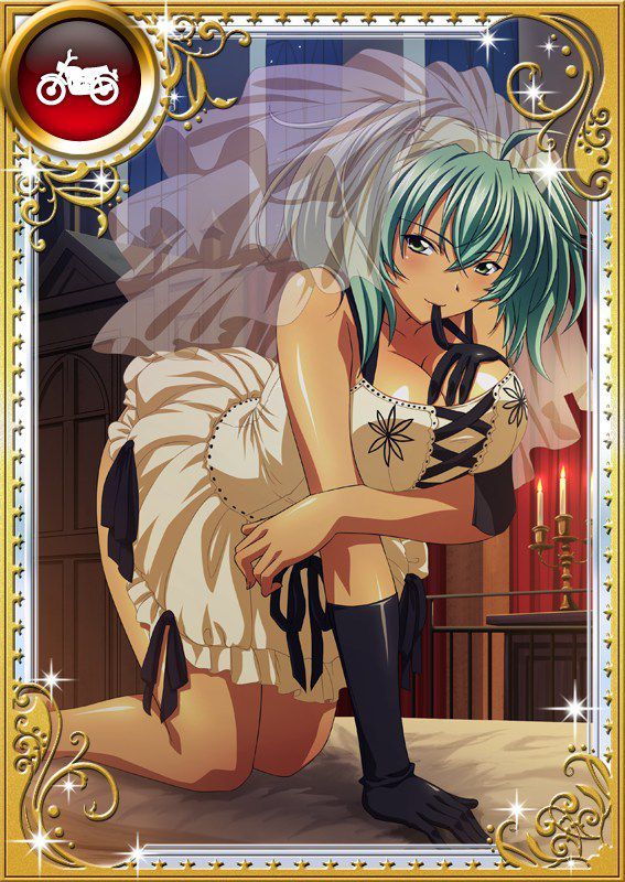 Ikkitousen Cards Coleccyion  Ryofu Housen set 762