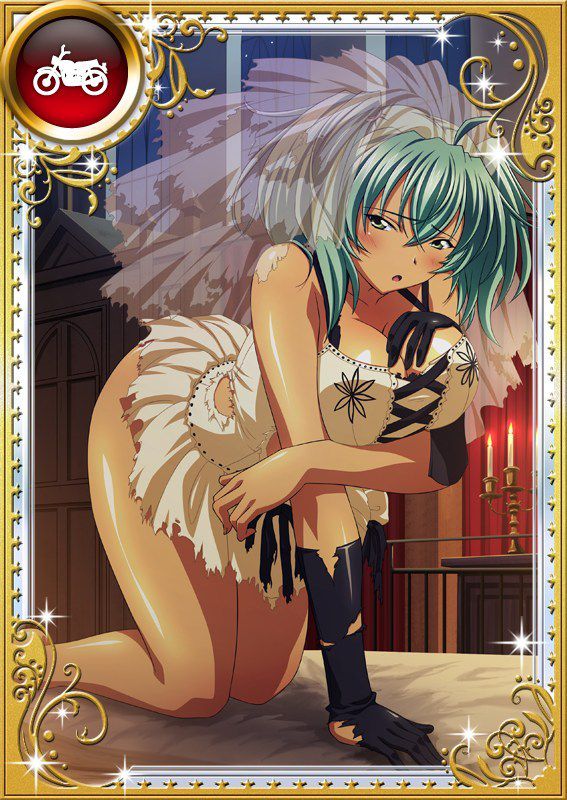 Ikkitousen Cards Coleccyion  Ryofu Housen set 763