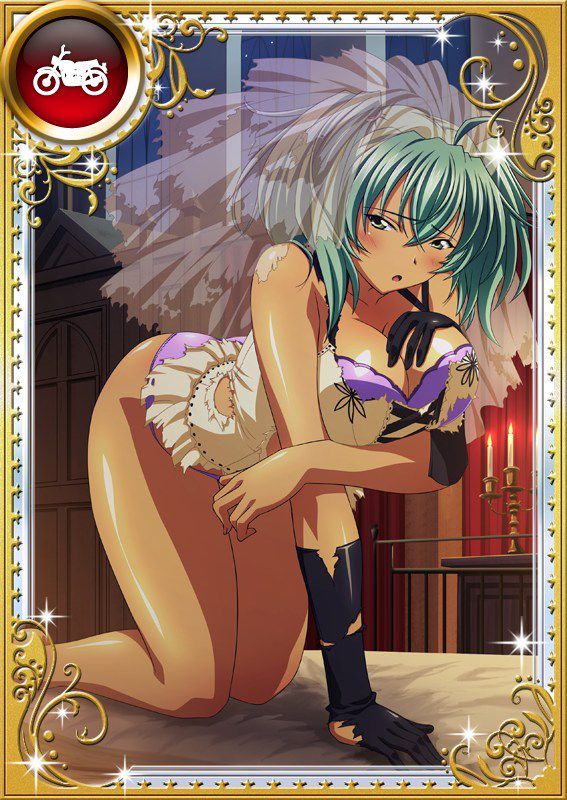 Ikkitousen Cards Coleccyion  Ryofu Housen set 764