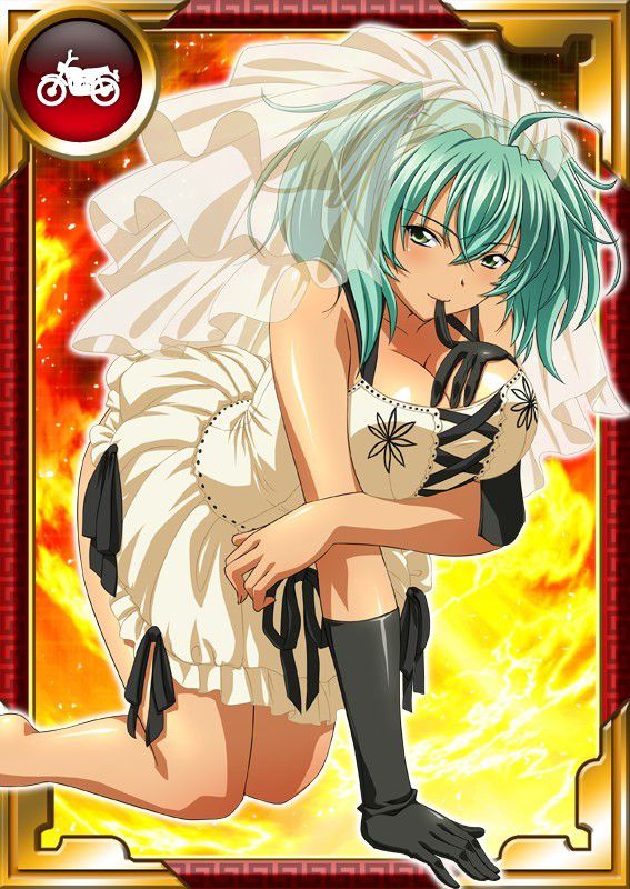 Ikkitousen Cards Coleccyion  Ryofu Housen set 765