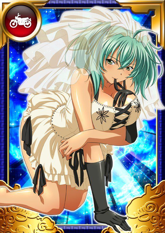 Ikkitousen Cards Coleccyion  Ryofu Housen set 766