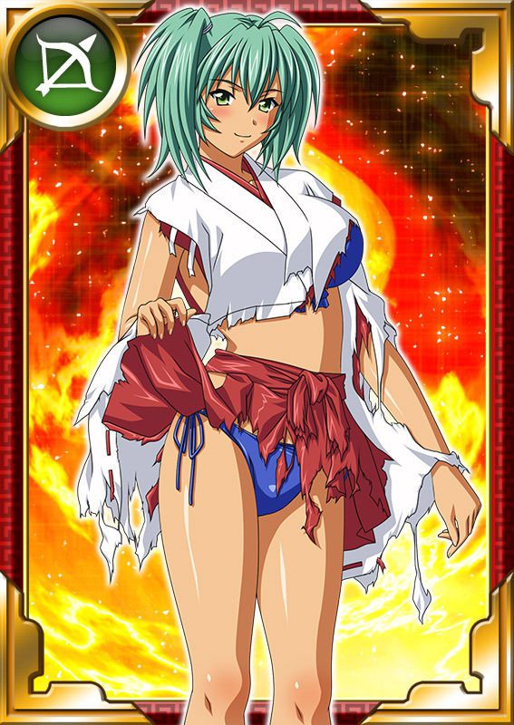 Ikkitousen Cards Coleccyion  Ryofu Housen set 770