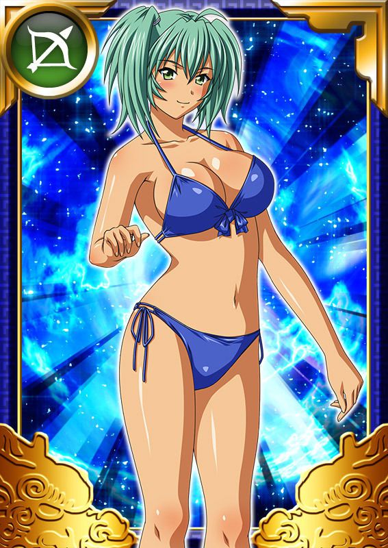 Ikkitousen Cards Coleccyion  Ryofu Housen set 771