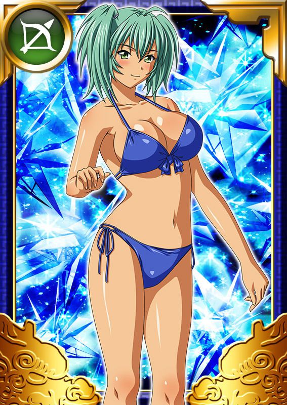 Ikkitousen Cards Coleccyion  Ryofu Housen set 772