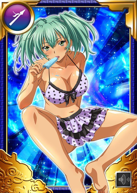 Ikkitousen Cards Coleccyion  Ryofu Housen set 773