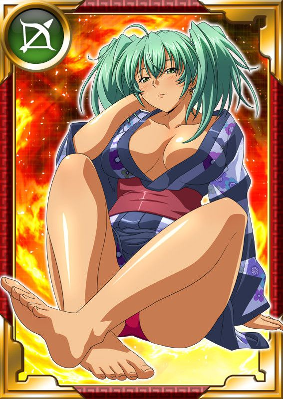 Ikkitousen Cards Coleccyion  Ryofu Housen set 784