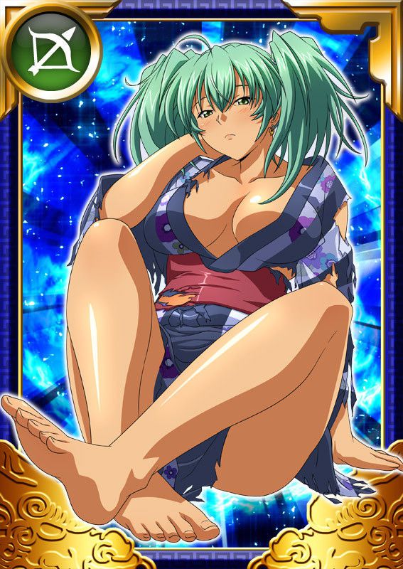 Ikkitousen Cards Coleccyion  Ryofu Housen set 785