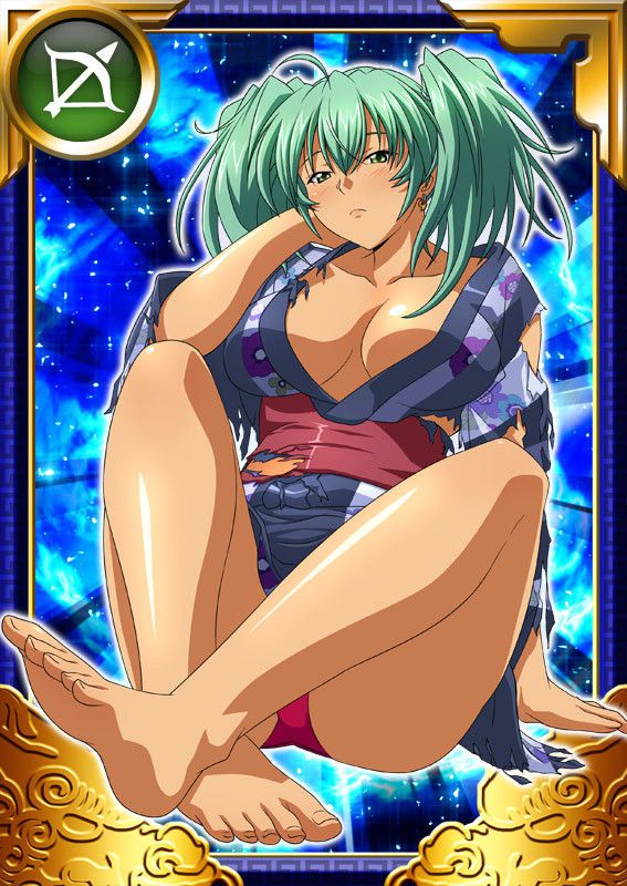 Ikkitousen Cards Coleccyion  Ryofu Housen set 786