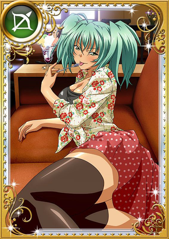 Ikkitousen Cards Coleccyion  Ryofu Housen set 787