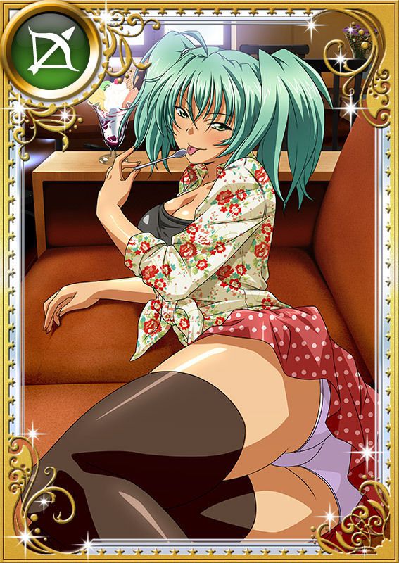 Ikkitousen Cards Coleccyion  Ryofu Housen set 788