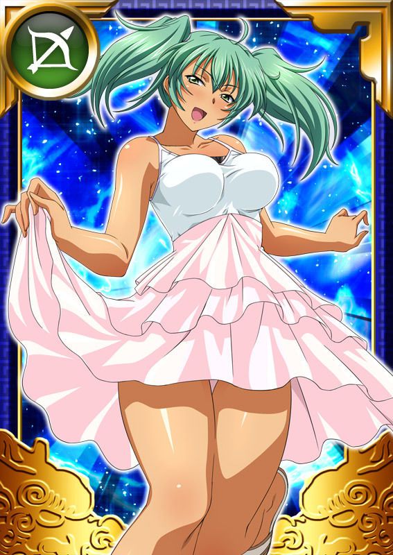 Ikkitousen Cards Coleccyion  Ryofu Housen set 789