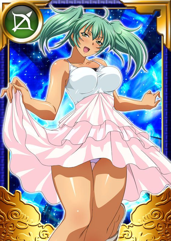 Ikkitousen Cards Coleccyion  Ryofu Housen set 790