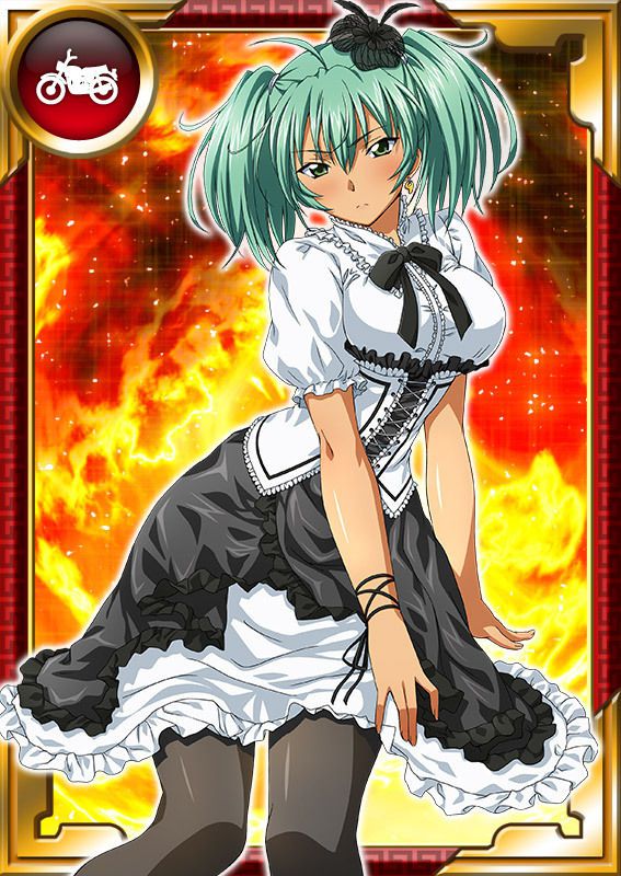 Ikkitousen Cards Coleccyion  Ryofu Housen set 791