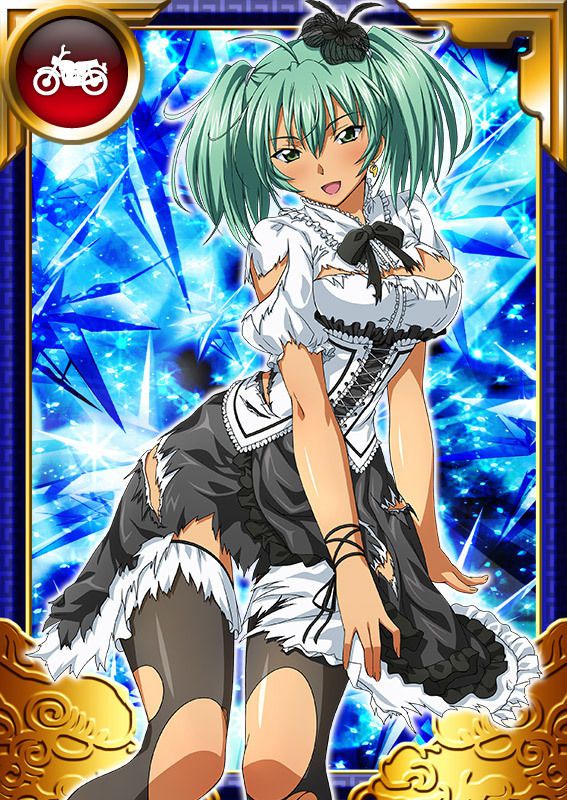 Ikkitousen Cards Coleccyion  Ryofu Housen set 793