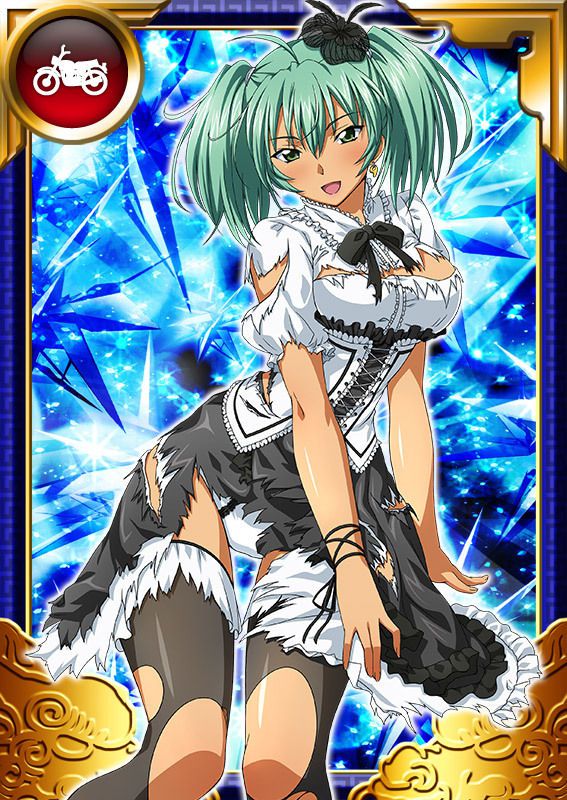 Ikkitousen Cards Coleccyion  Ryofu Housen set 794