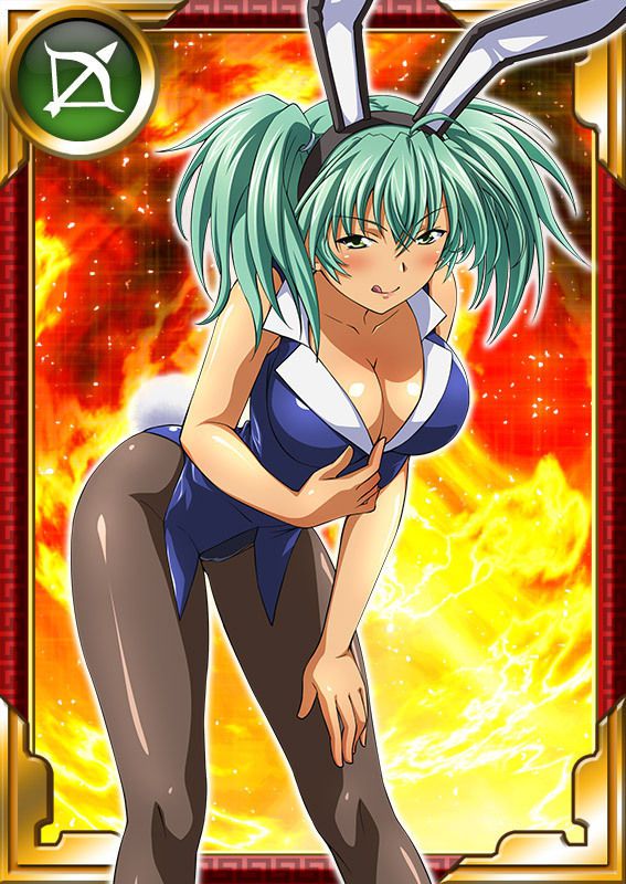 Ikkitousen Cards Coleccyion  Ryofu Housen set 795