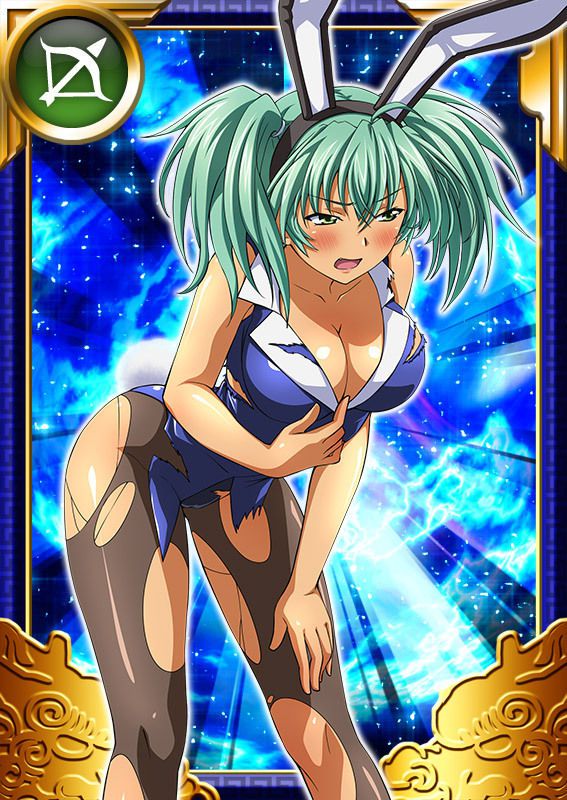 Ikkitousen Cards Coleccyion  Ryofu Housen set 796