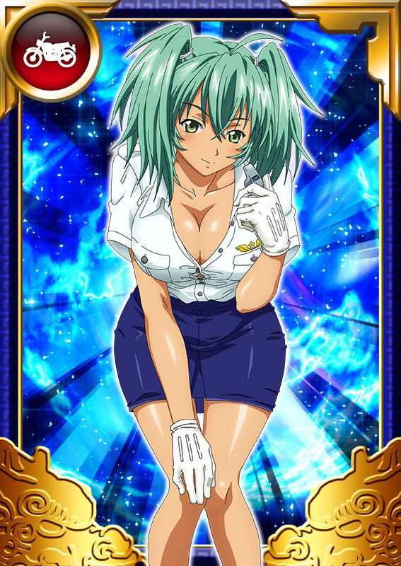 Ikkitousen Cards Coleccyion  Ryofu Housen set 798