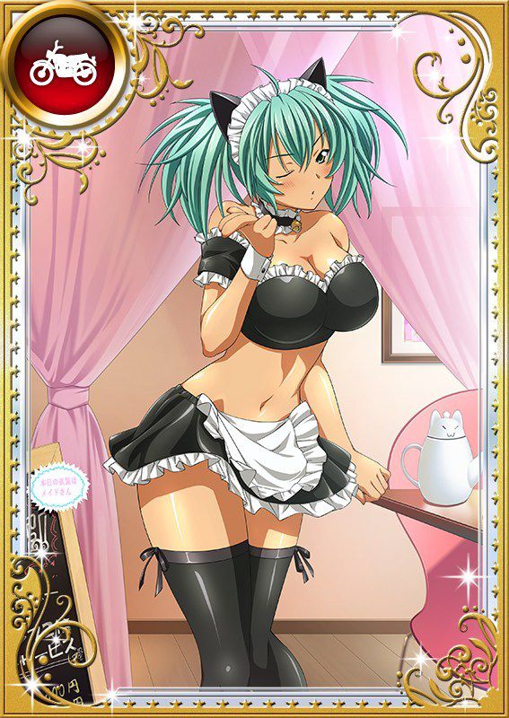 Ikkitousen Cards Coleccyion  Ryofu Housen set 799