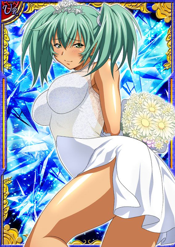 Ikkitousen Cards Coleccyion  Ryofu Housen set 8