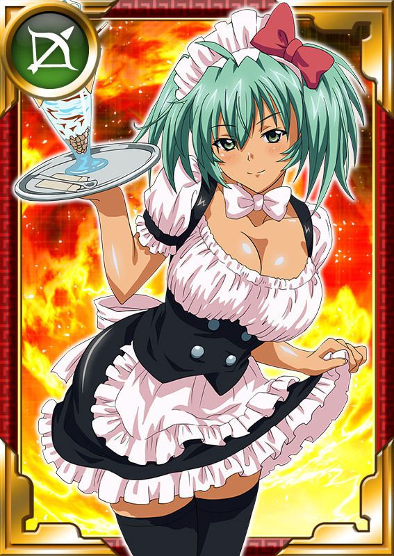 Ikkitousen Cards Coleccyion  Ryofu Housen set 800