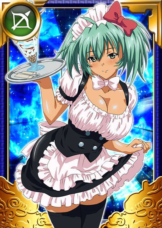 Ikkitousen Cards Coleccyion  Ryofu Housen set 801