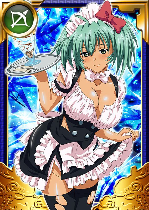 Ikkitousen Cards Coleccyion  Ryofu Housen set 802