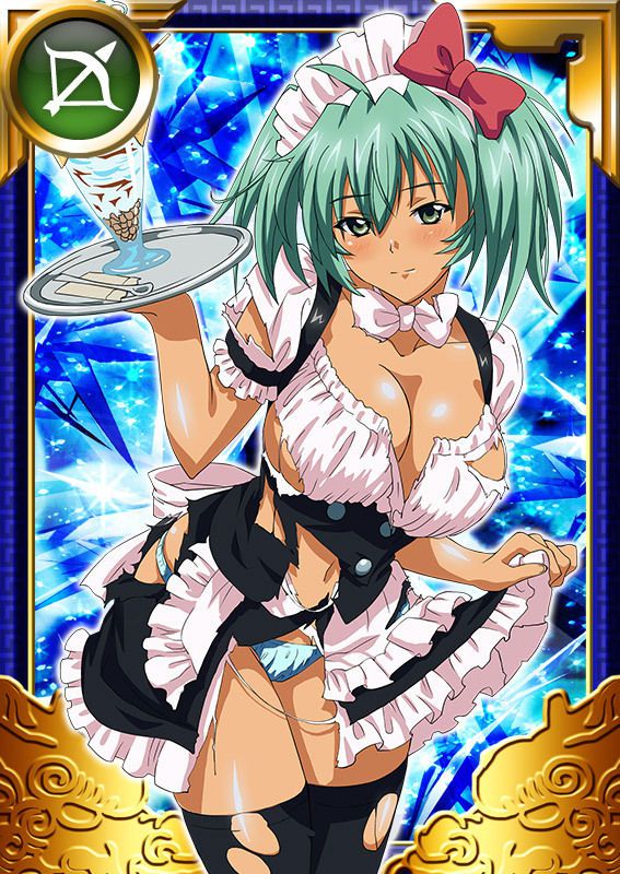 Ikkitousen Cards Coleccyion  Ryofu Housen set 803