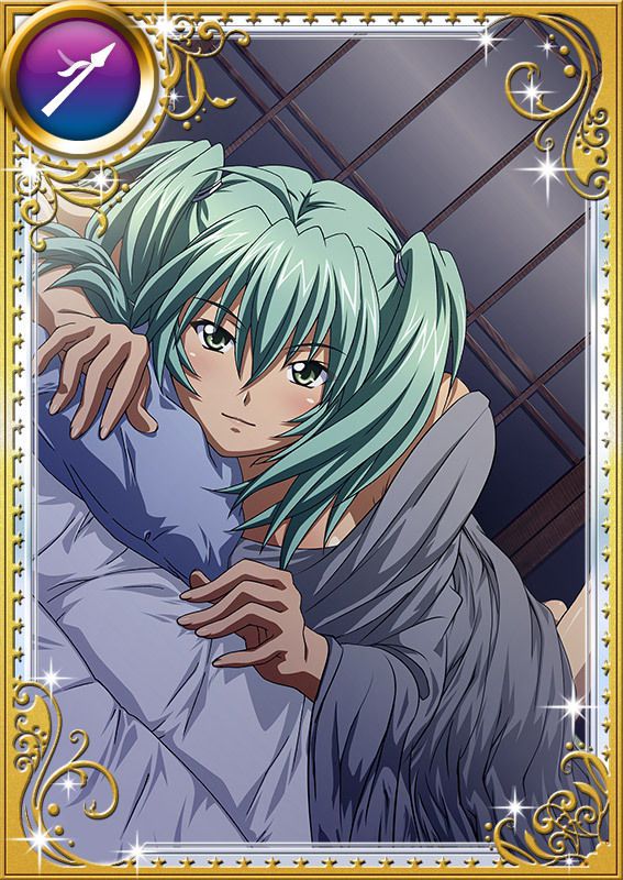 Ikkitousen Cards Coleccyion  Ryofu Housen set 807