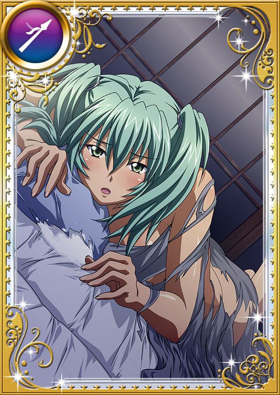 Ikkitousen Cards Coleccyion  Ryofu Housen set 808