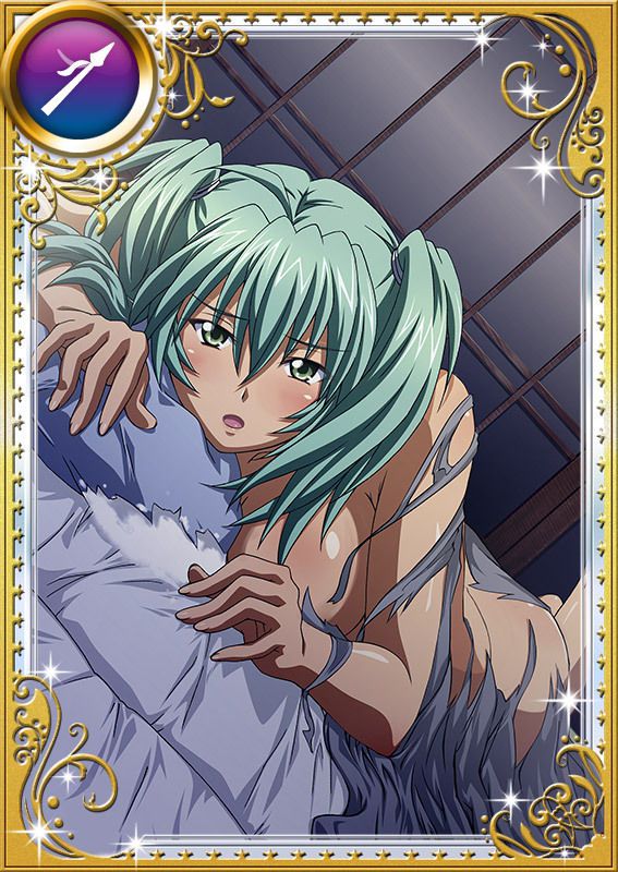 Ikkitousen Cards Coleccyion  Ryofu Housen set 809